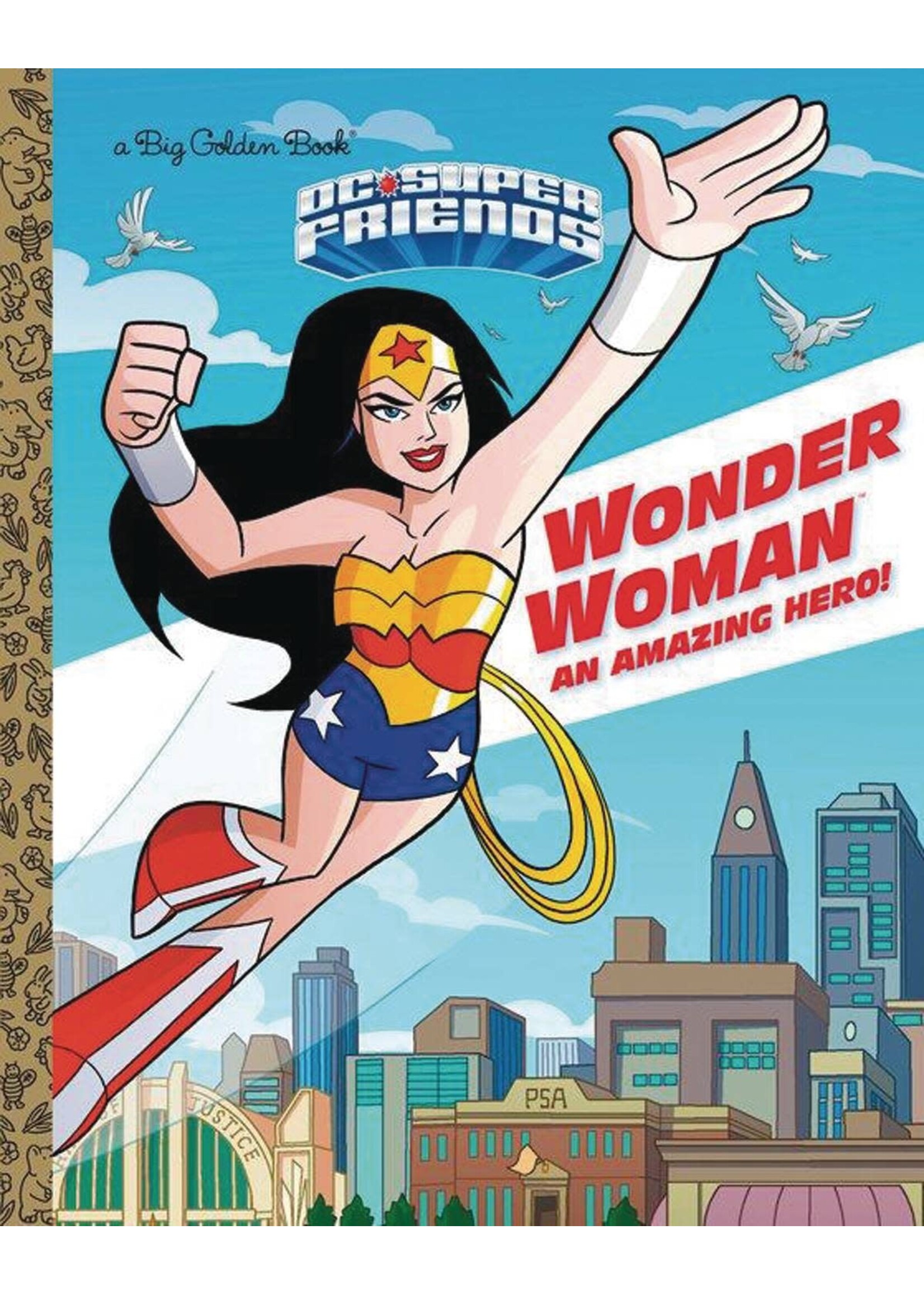 . WONDER WOMAN AN AMAZING HERO! (DC SUPER FRIENDS)