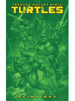 IDW PUBLISHING TEENAGE MUTANT NINJA TURTLES (2024) #13 CVR F BLIND BAG