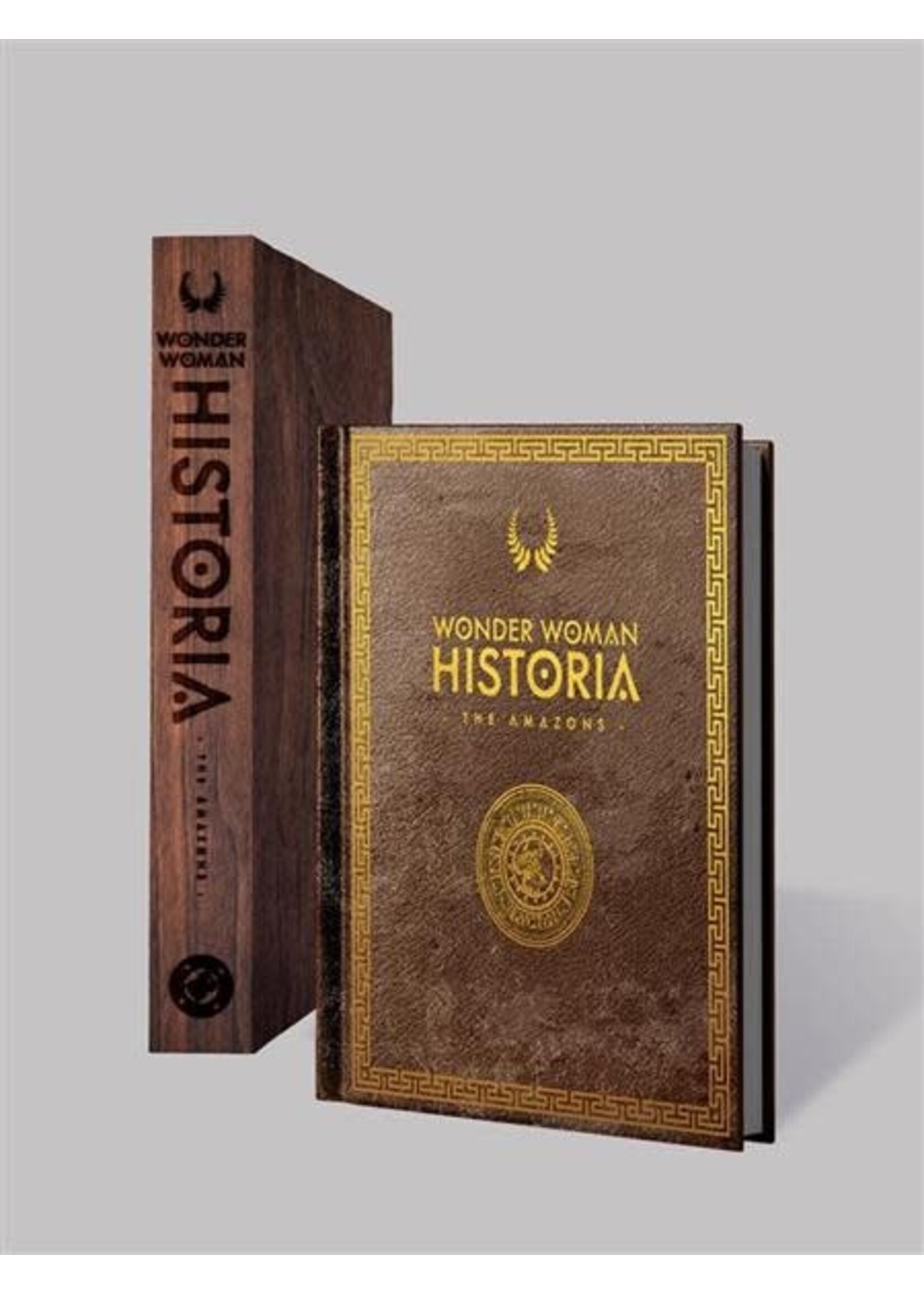 DC COMICS WONDER WOMAN HISTORIA THE AMAZONS ABSOLUTE EDITION HC
