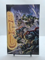 IDW PUBLISHING TEENAGE MUTANT NINJA TURTLES (2024) #20/#300 CVR F BLIND BAG Williams