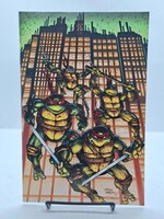 IDW PUBLISHING TEENAGE MUTANT NINJA TURTLES (2024) #20/#300 CVR F BLIND BAG Eastman Laird