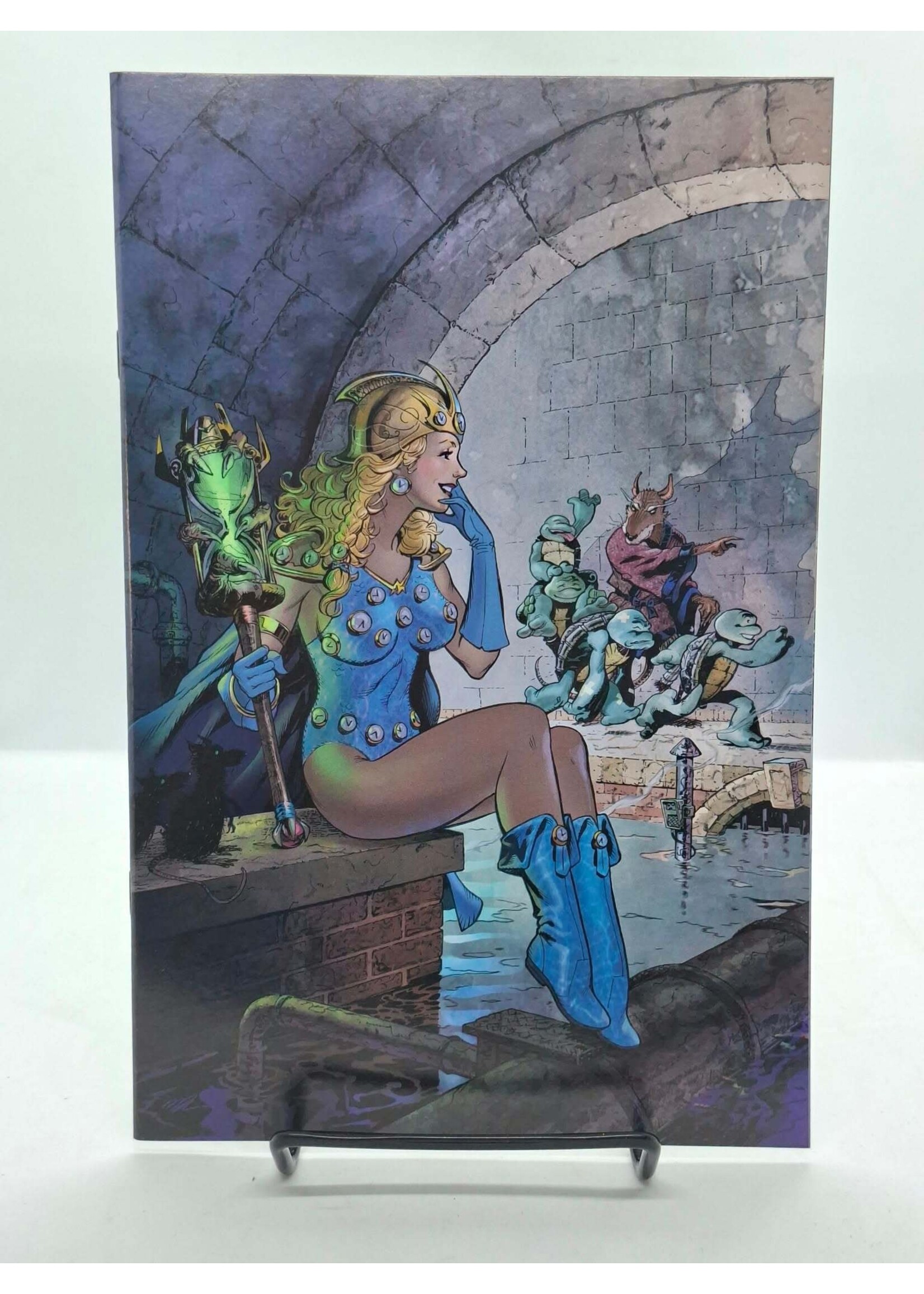 IDW PUBLISHING TEENAGE MUTANT NINJA TURTLES (2024) #20/#300 CVR F BLIND BAG Dooney