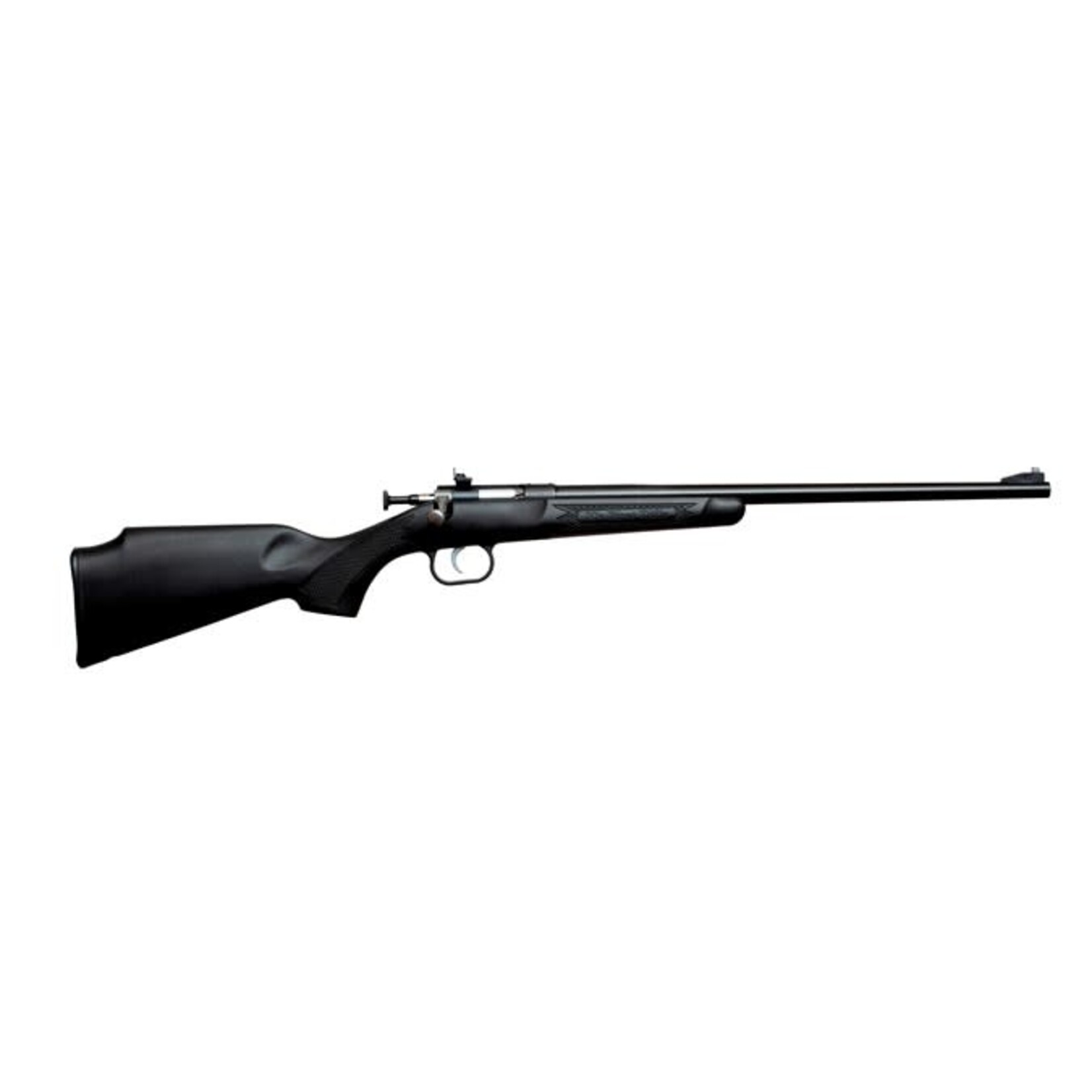 Keystone Sporting Arms LLC Keystone Sporting Arms, LLC Crickett 22 LR 1rd 16.13" Blued Black Synthetic Stock Right Hand (Youth)