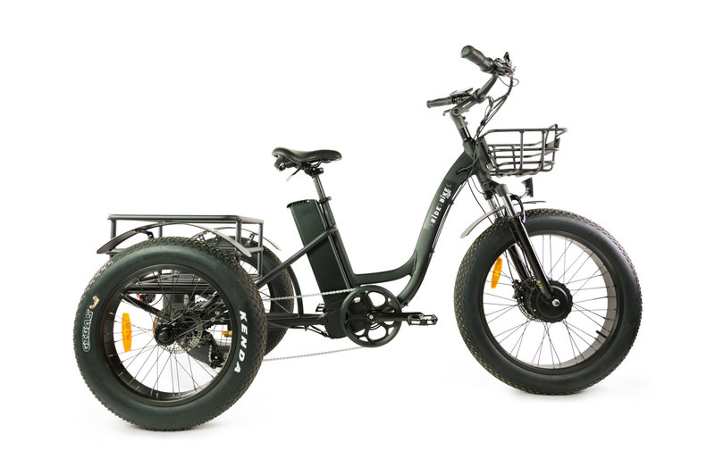 Ride Bike Style Tricycle 500W - 48V 15.6AH battery