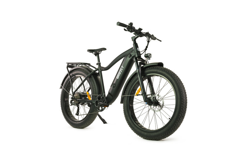 Ride Bike Style Grizzly 500W 48V 14Ah (Torque Sensor)