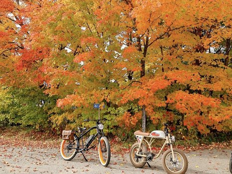Où profiter des couleurs de l'automne à vélo?