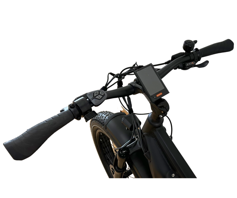 Ride Bike Style Grizzly 1000W 48V 14Ah (Torque Sensor)