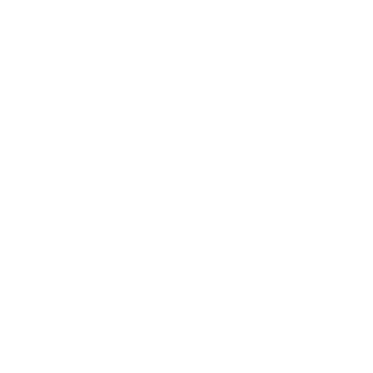 Ride Bike Style | Urbain and vintage electric bicycles | Montreal