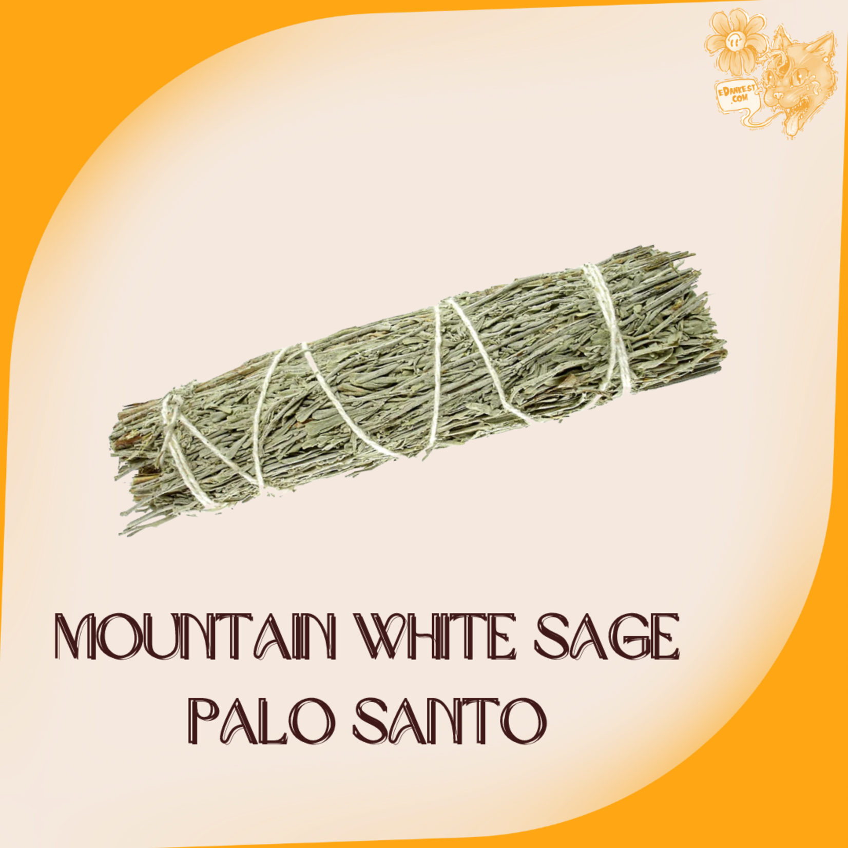 Mountain White Sage w/ Palo Santo