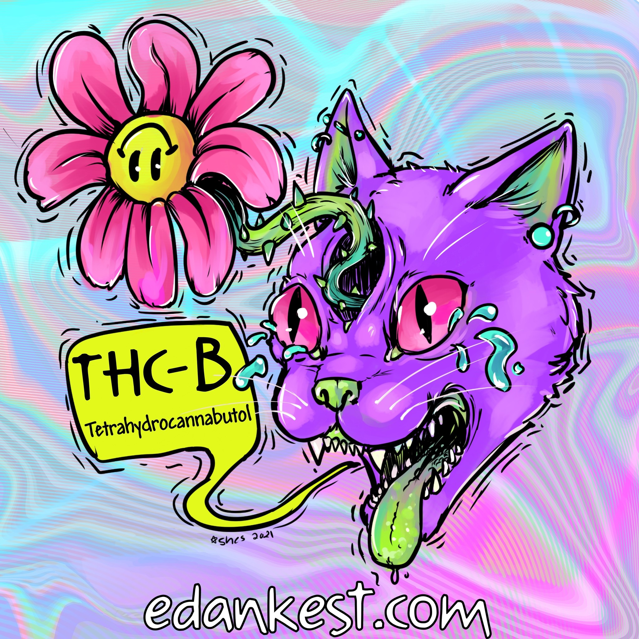 Let's Talk THC-B