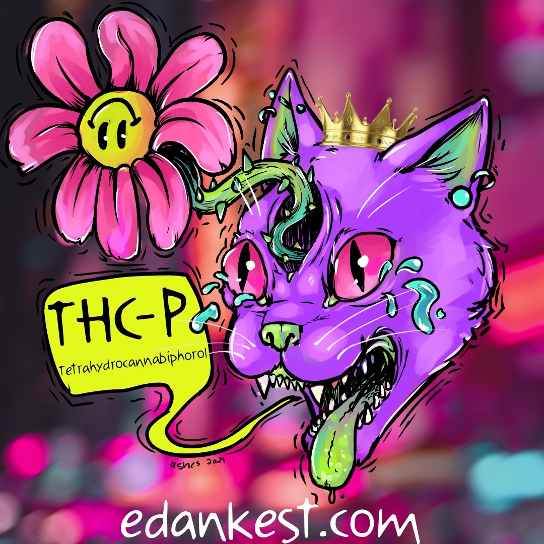 King of Cannabinoids: THC-P