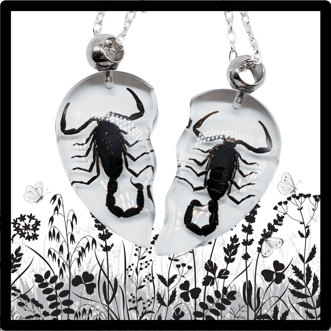 Black Scorpion Heart Necklace Set