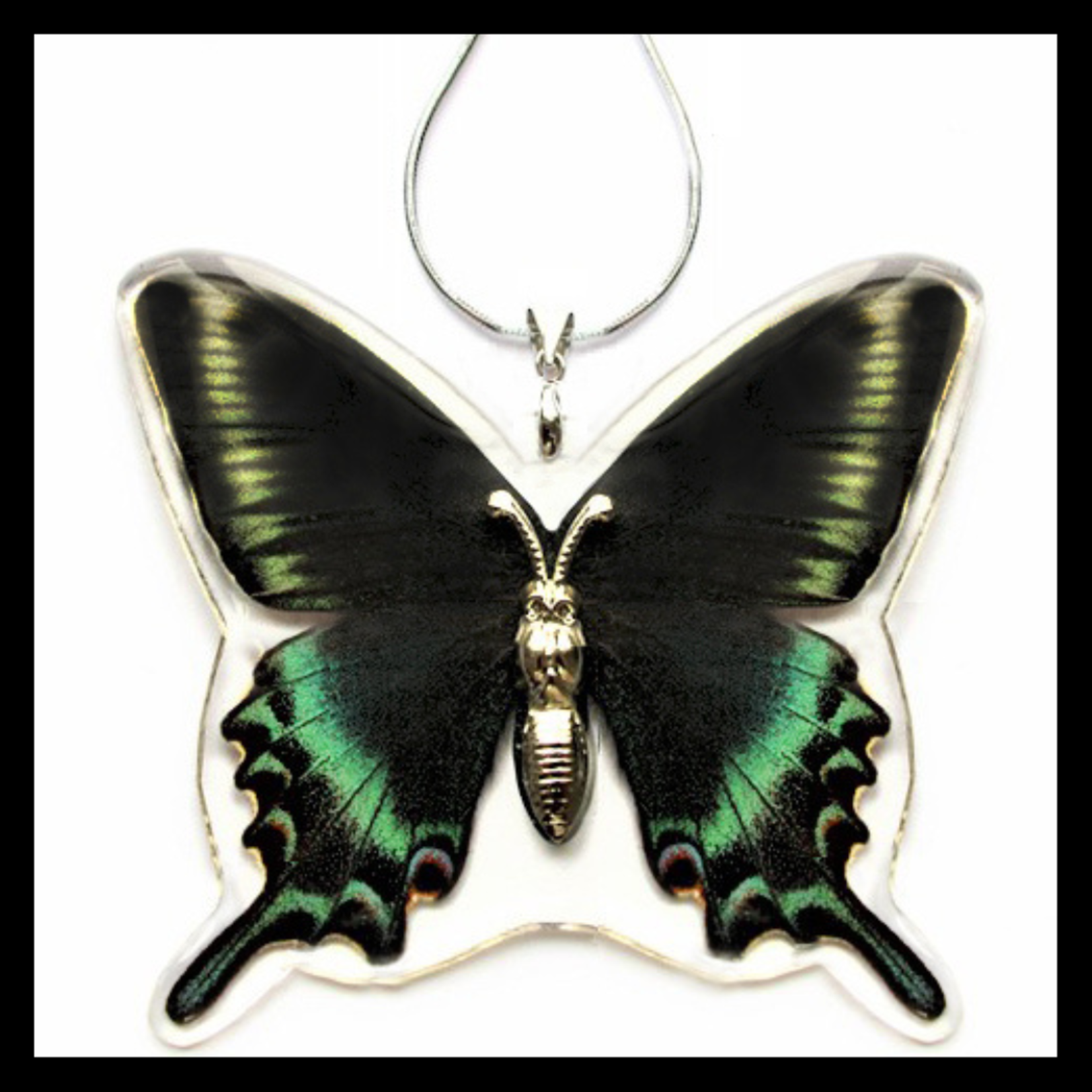 BicBugs Real Preserved Butterfly Necklaces Alpine Black Swallowtail (Papilio maackii)