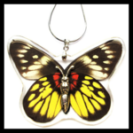 BicBugs Real Preserved Butterfly Necklace - Malayan Jezebel