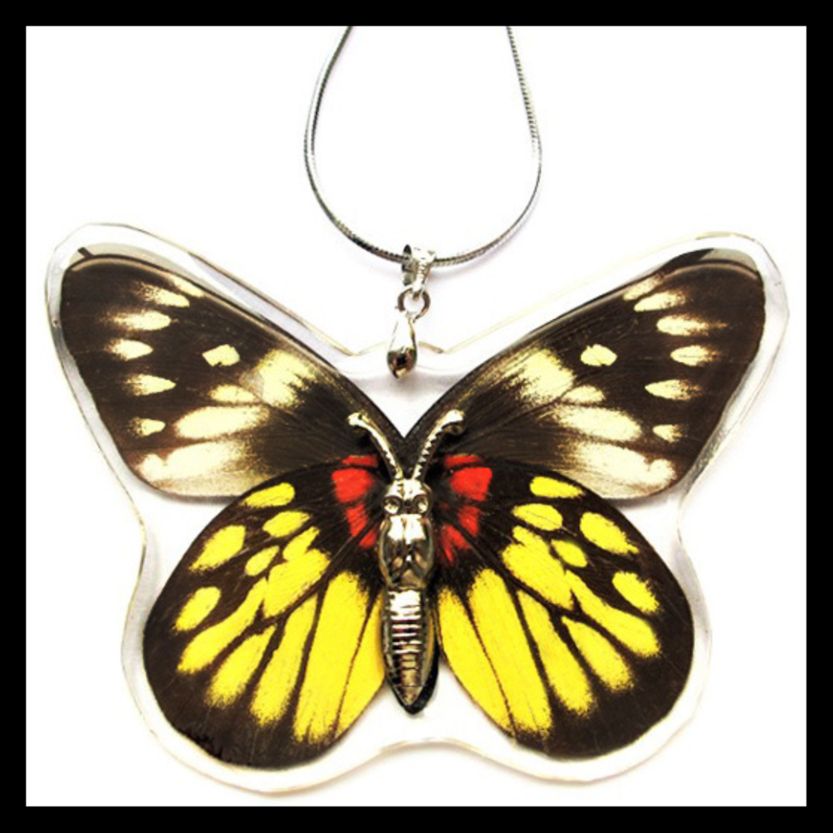 BicBugs Real Preserved Butterfly Necklaces Malayan Jezebel (Delias ninus)