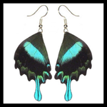 BicBugs Real Preserved Butterfly Earrings - Green Swallowtail