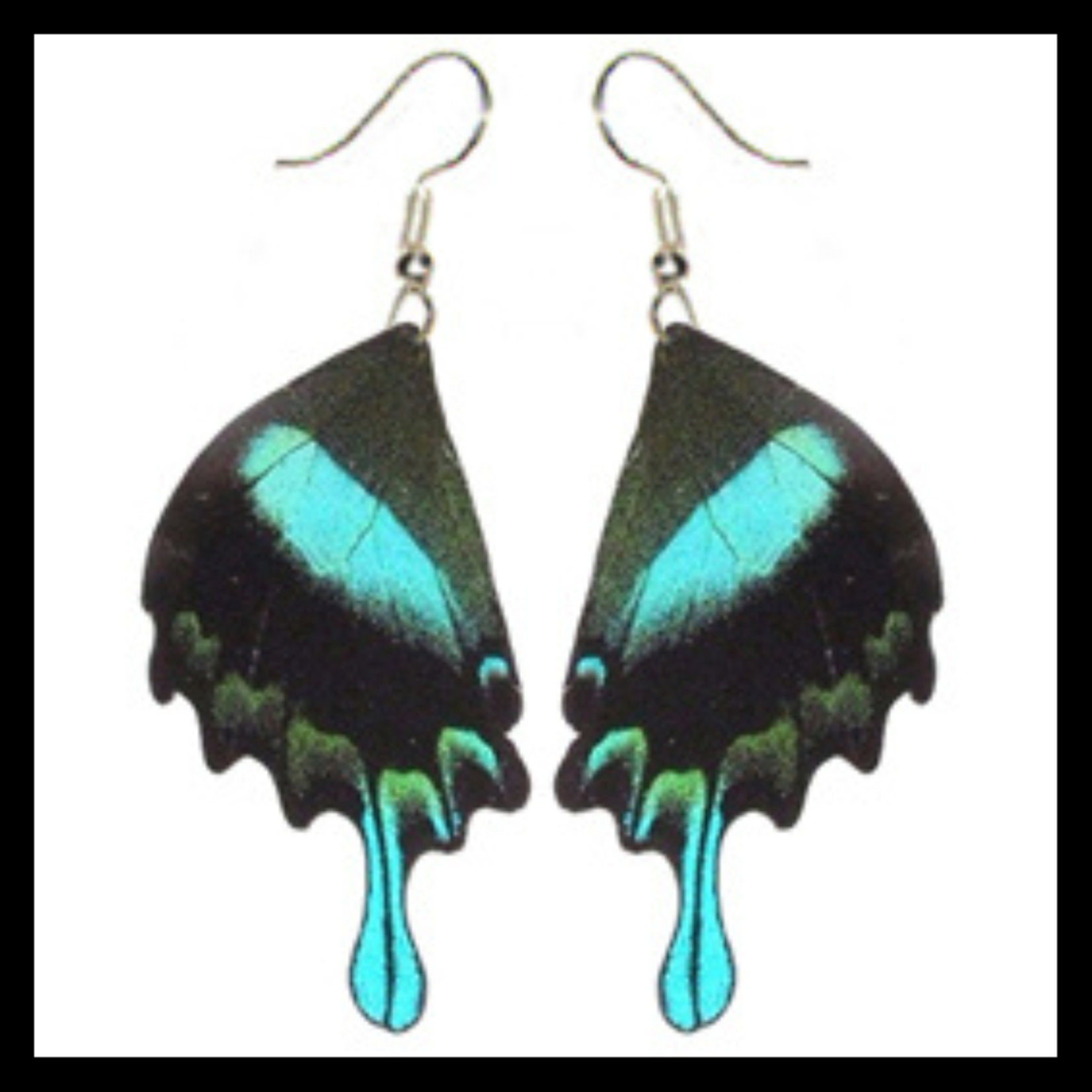 BicBugs Real Preserved Butterfly Wing Earrings Green Swallowtail (Papilio blumei)