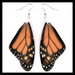 BicBugs Real Preserved Butterfly Earrings - Monarch