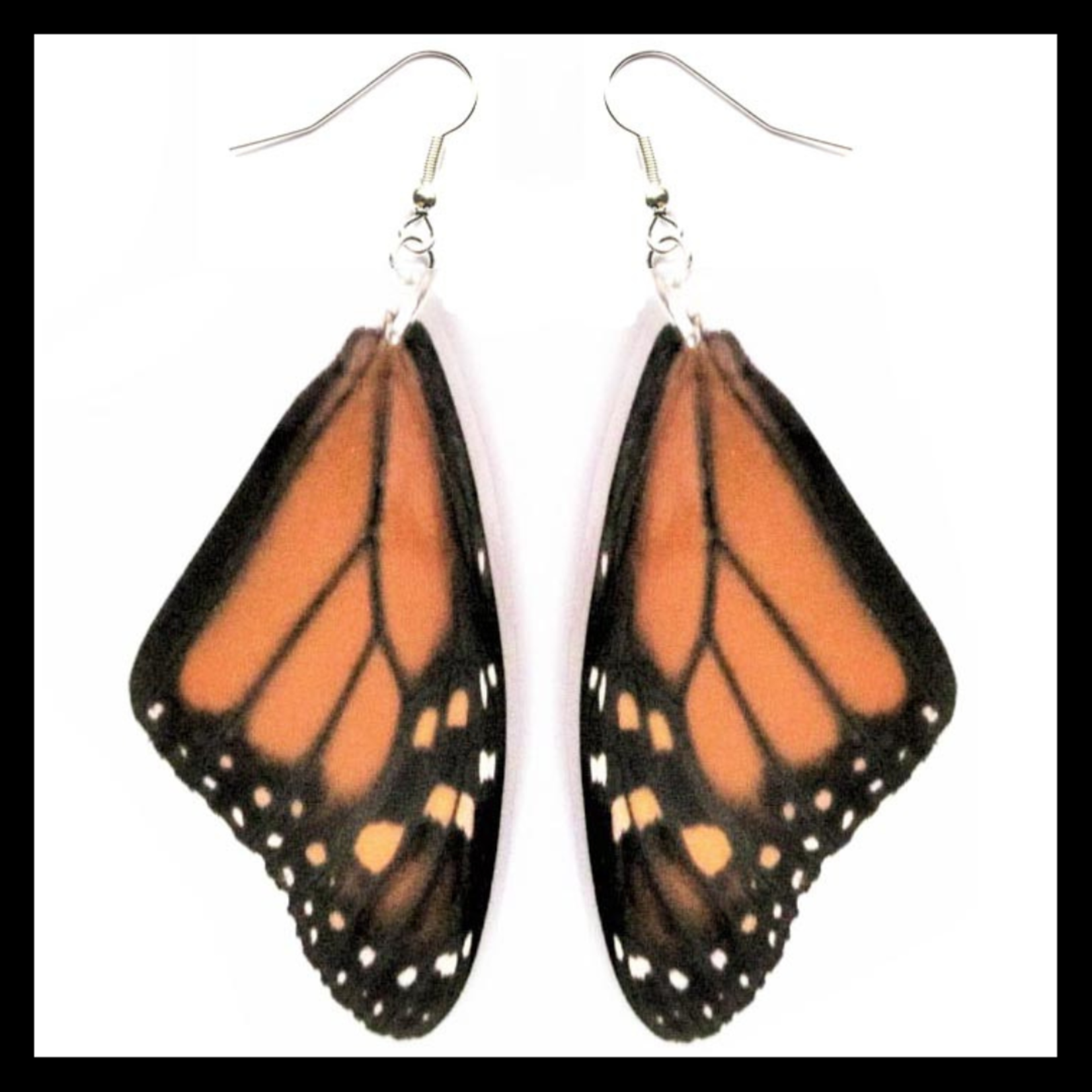 BicBugs Real Preserved Butterfly Wing Earrings Monarch (Danaus plexippus)