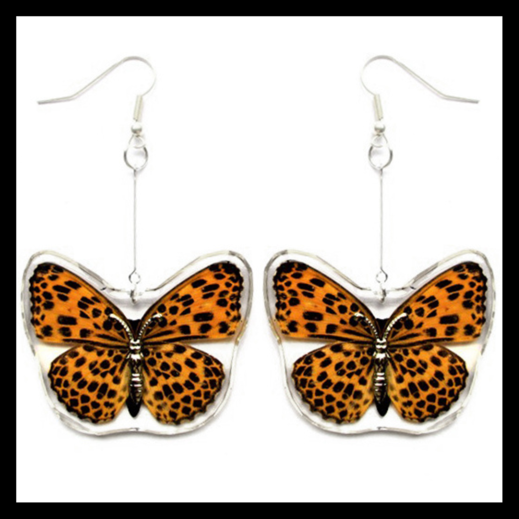 BicBugs Real Preserved Butterfly Wing Earrings Spotted Leopard (Timelaea maculata)