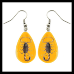 BicBugs Real Preserved Insect Earrings Brown Scorpions/Gold