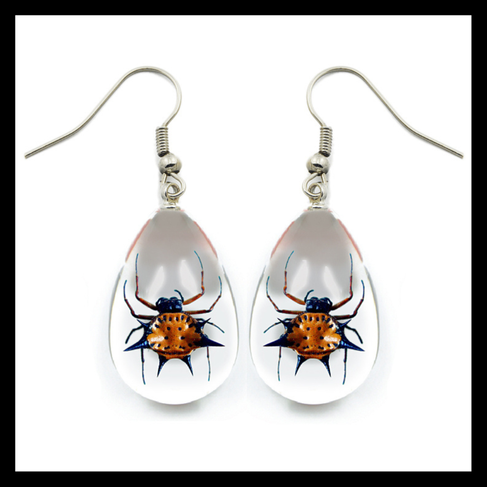 BicBugs Real Preserved Insect Earrings Kite Spiders/Clear