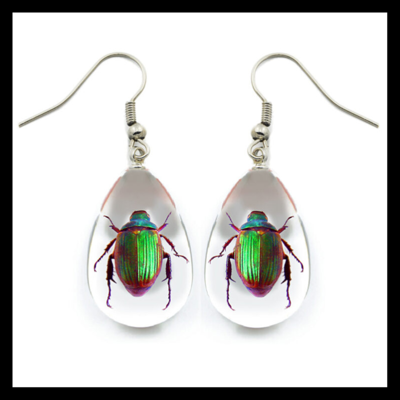 BicBugs Real Preserved Insect Earrings Scarab Beetles/Clear