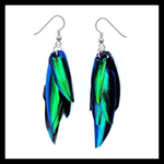 BicBugs Real Preserved Jewel Beetle Elytra Earrings