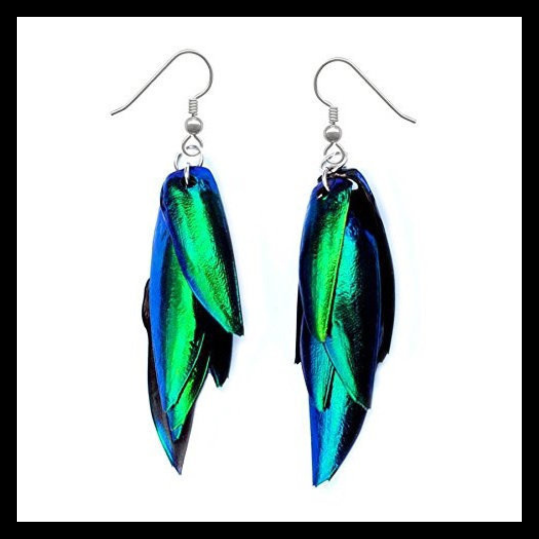Beetle Rhinestone Earrings main image 1