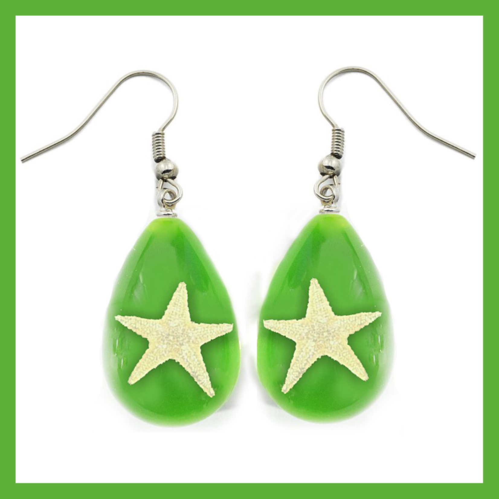 BicBugs Real Preserved Starfish Earrings Green