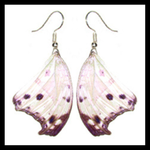 BicBugs Real Preserved Butterfly Earrings - Forest Mother of Pearl