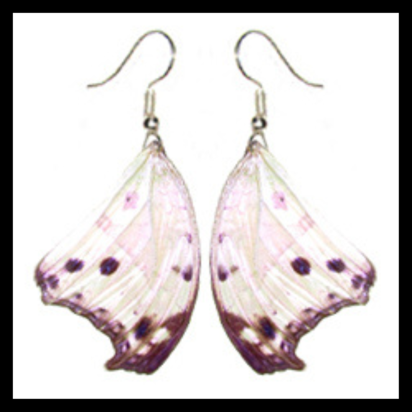 BicBugs Real Preserved Butterfly Wing Earrings Forest Mother of Pearl (Salamis parhassus)