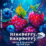 3rd Eye 3rd Eye Delta 9 Gummies - Blueberry Raspberry