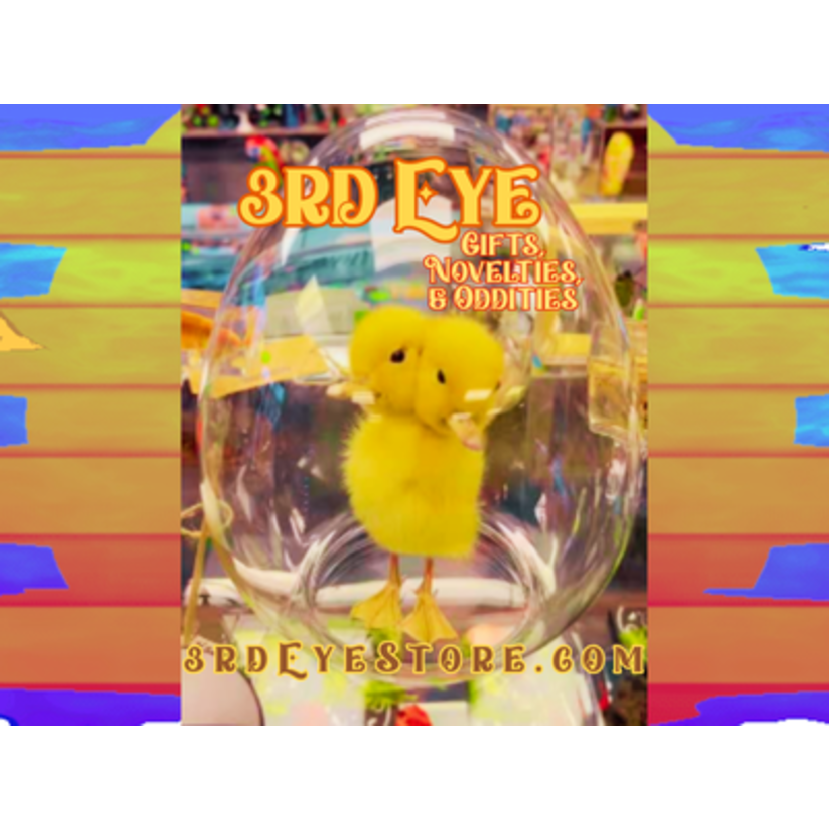 Insects In Resin Two Headed Yellow Taxidermy Duckling (Anas Platyrhynchos Domestica)