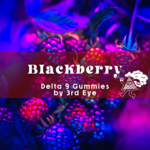 3rd Eye 3rd Eye Delta 9 + CBG Gummies - Blackberry
