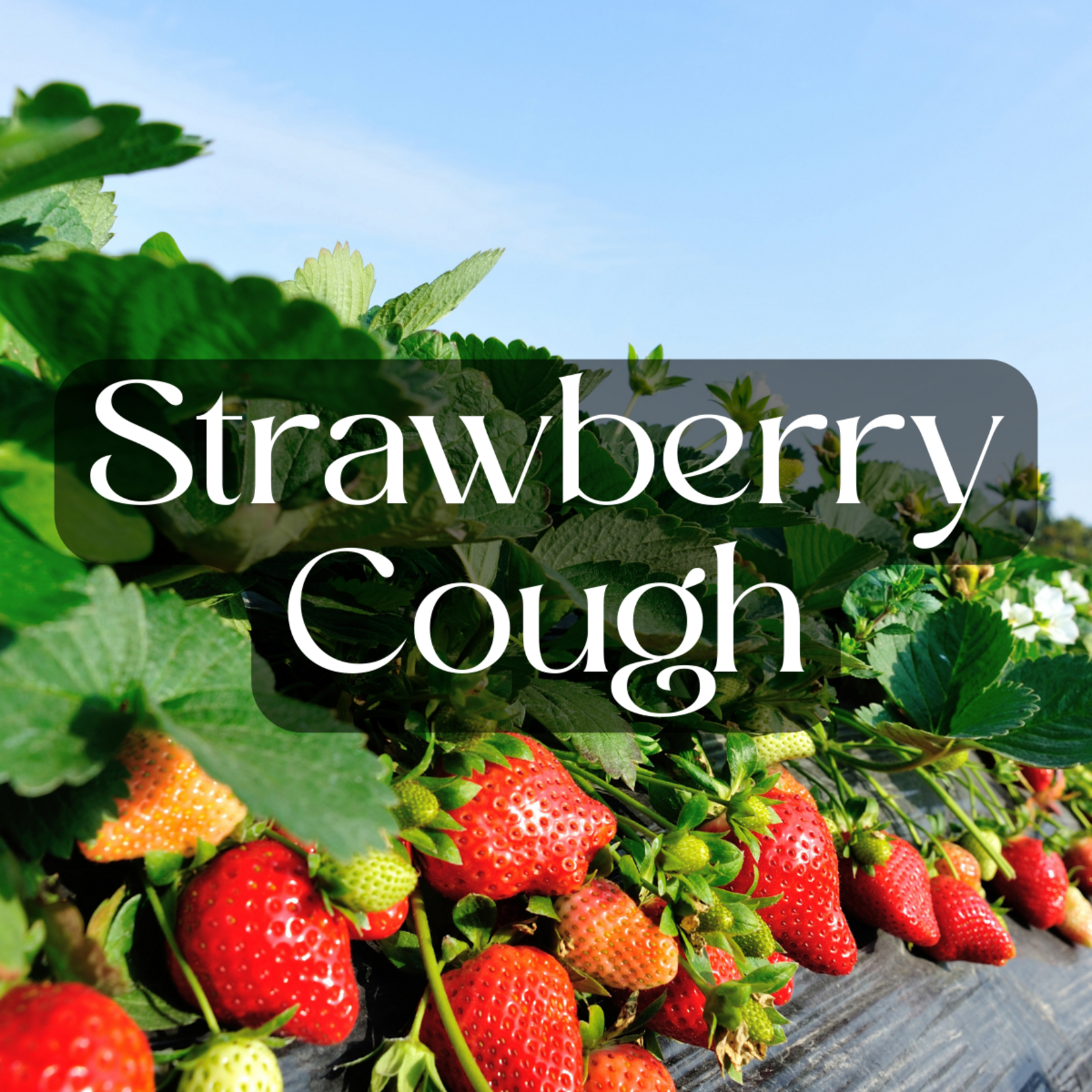 3rd Eye 3rd Eye THCA Pre Roll (1.5 Gram) - Strawberry Cough