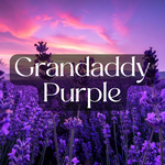 3rd Eye 3rd Eye THCA Diamond-Coated Pre Roll (2 Grams) - Grand Daddy Purple