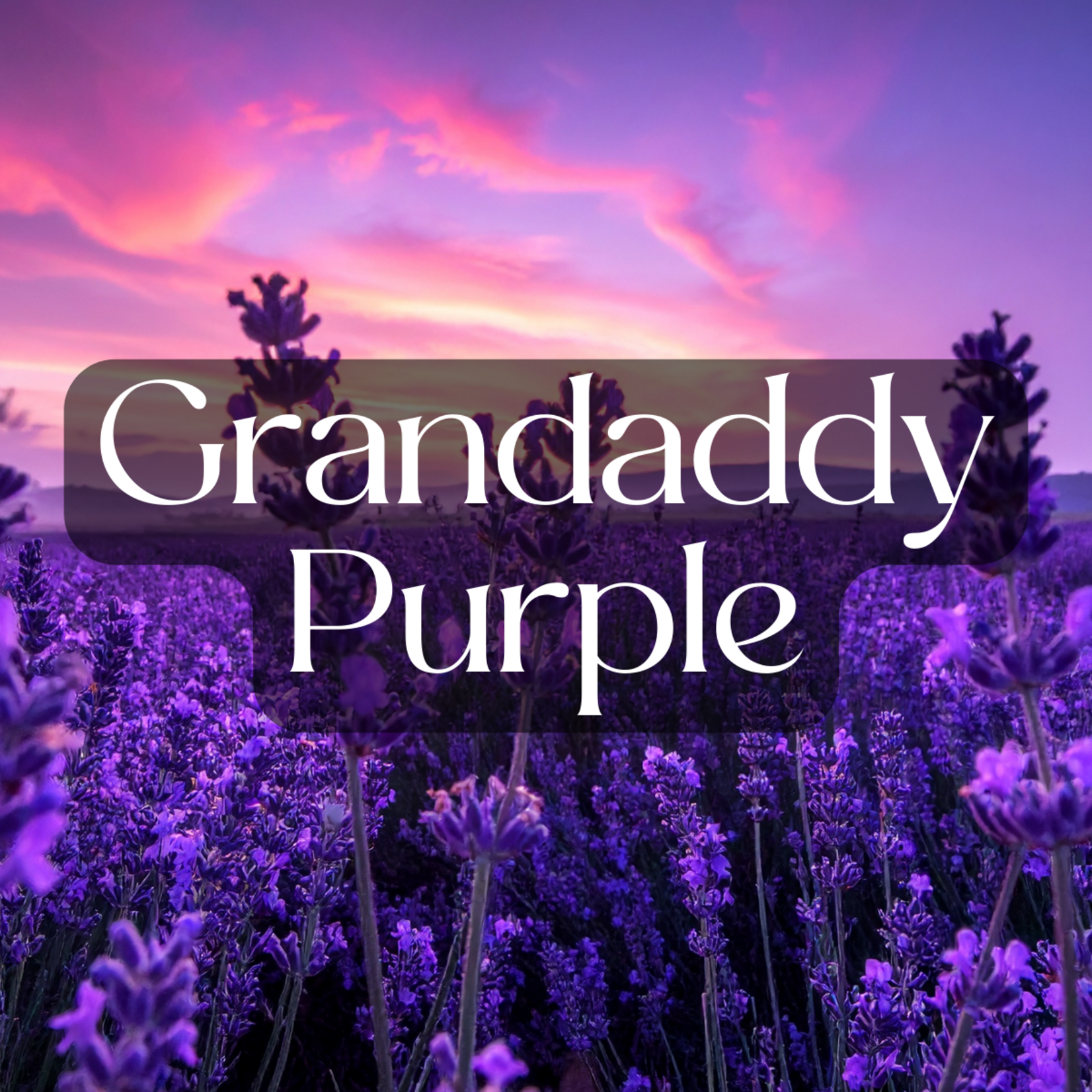 3rd Eye 3rd Eye THCA Diamond-Coated Pre Roll (2 Grams) - Grand Daddy Purple