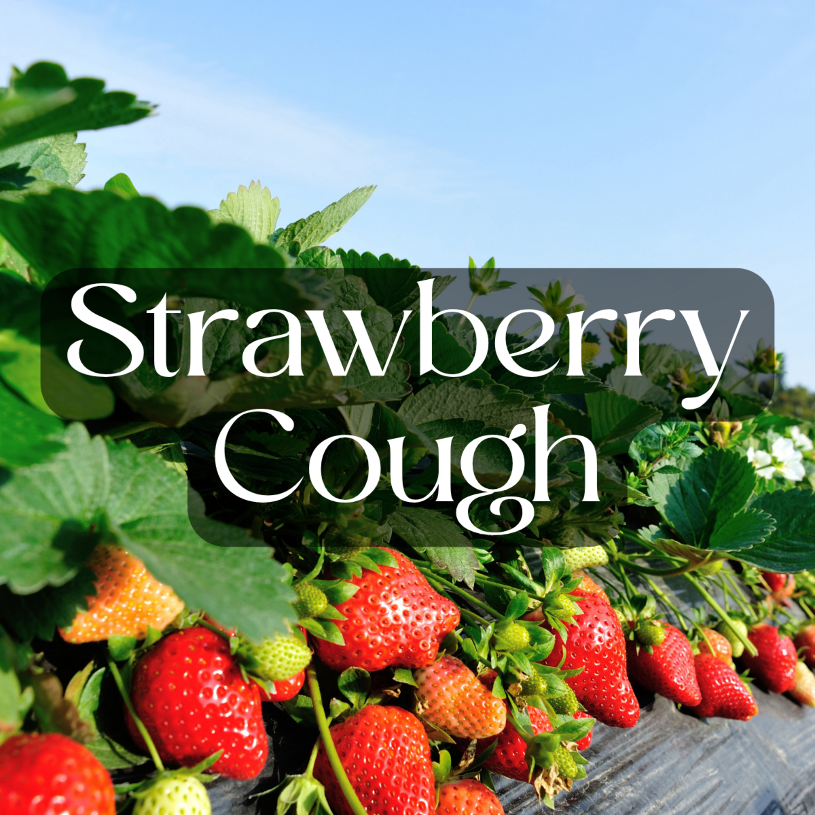 3rd Eye 3rd Eye Diamond-Coated THCA Pre Roll (2 Grams)