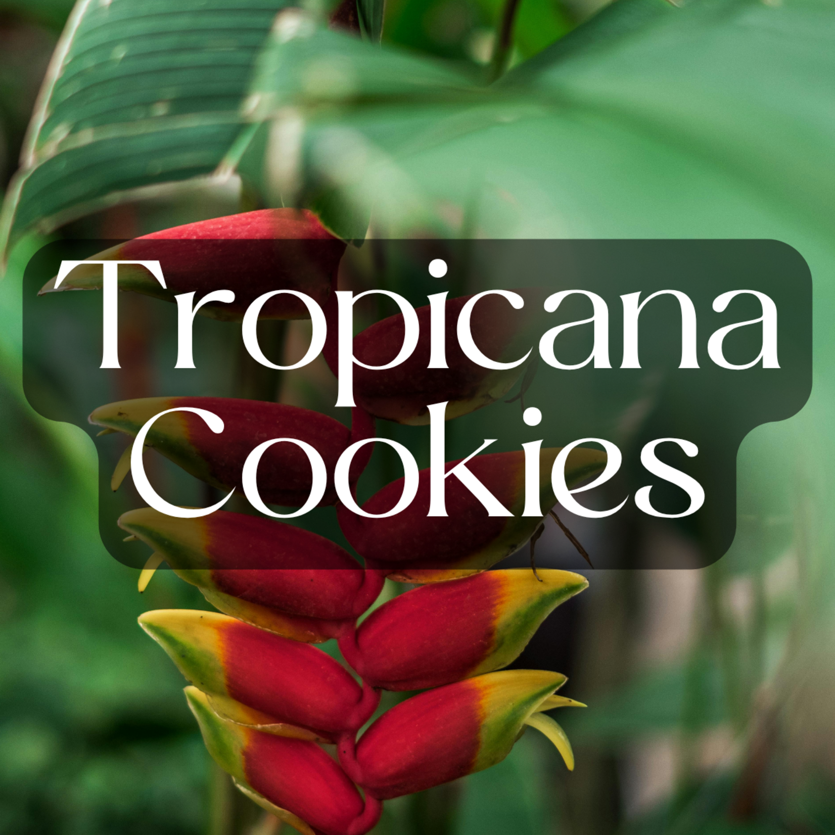 3rd Eye 3rd Eye THCA Pre Roll (1.5 Grams)