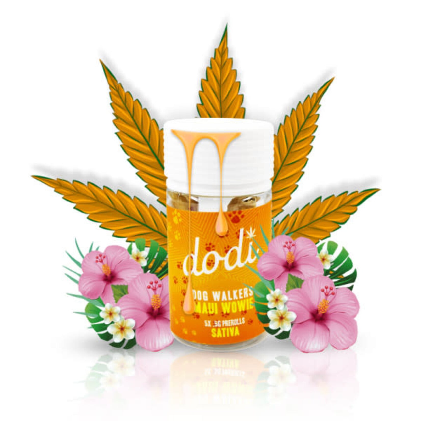 Dodi Dodi Dog Walkers