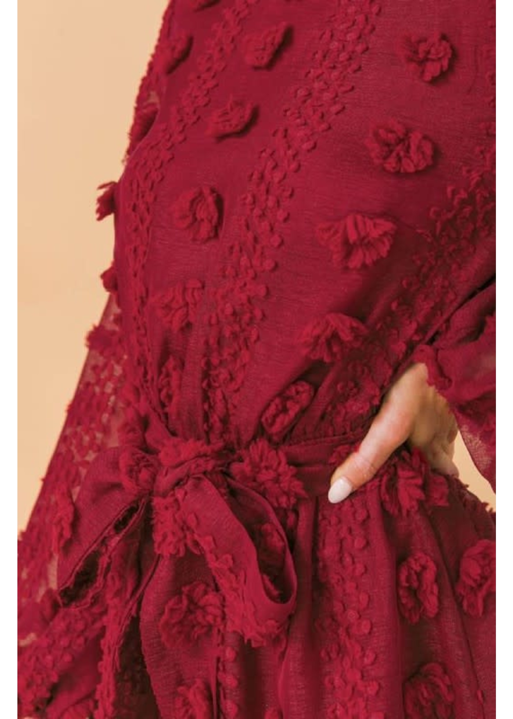 Burgundy Woven Mini Dress