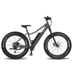 Surface 604 Surface 604-Boar Explorer 48V 20AH