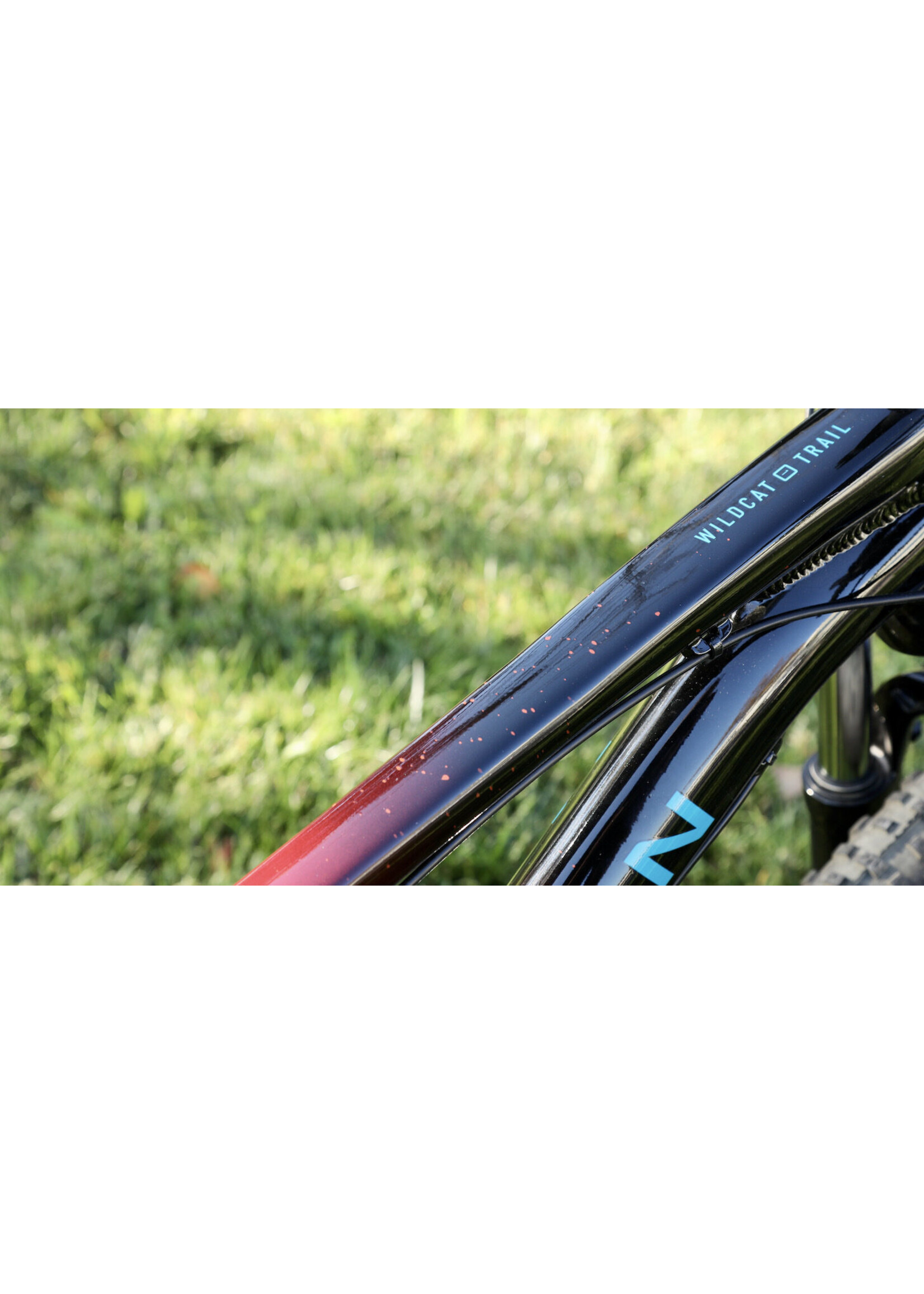 Marin Wildcat Trail WFG 1