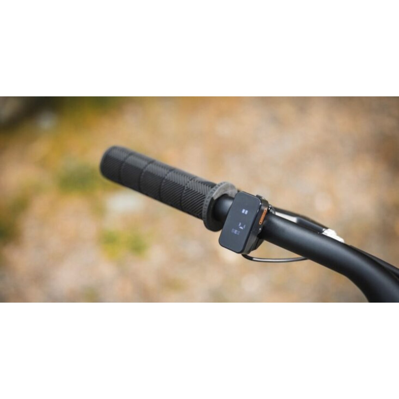 Marin Marin Stinson E ST