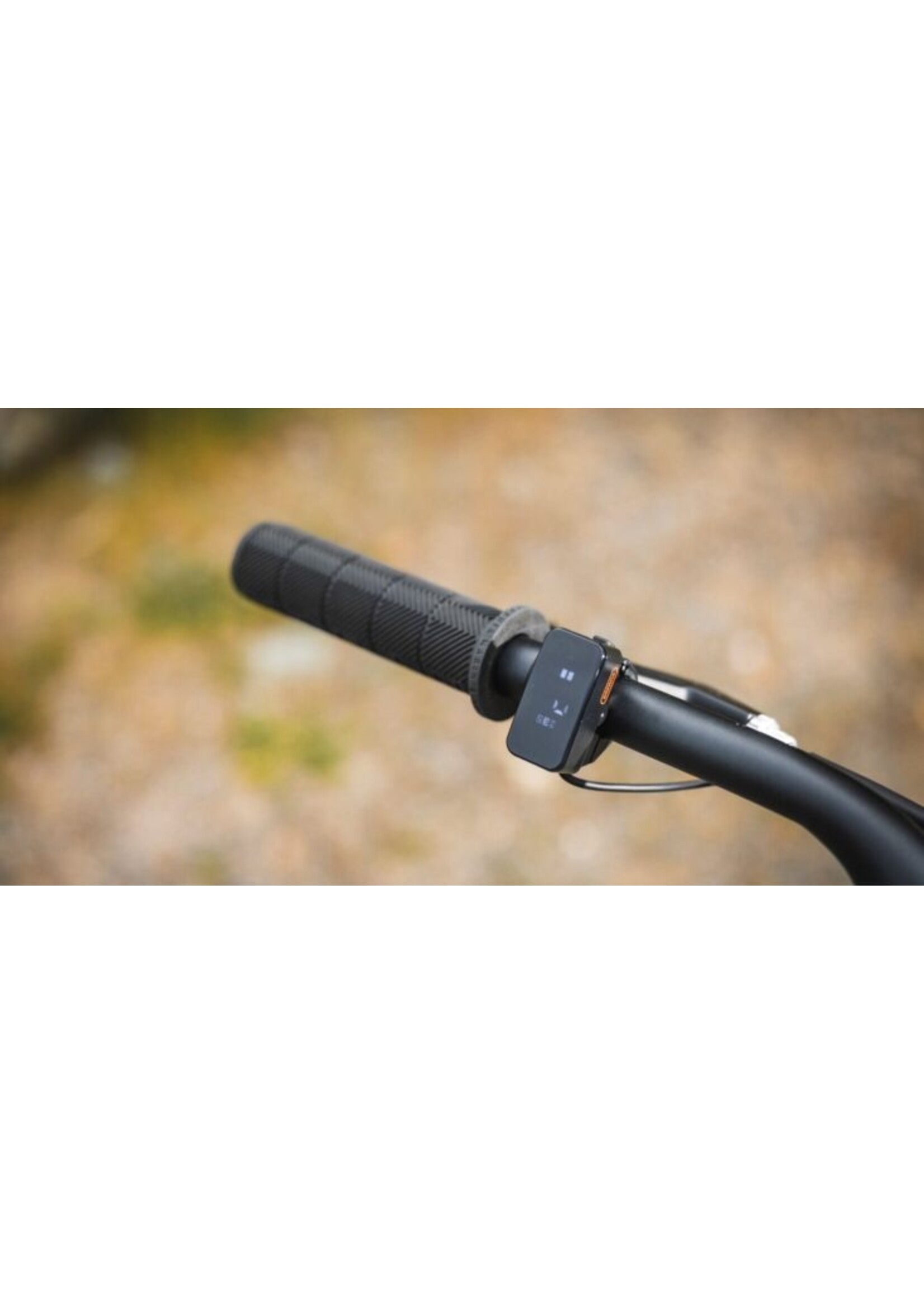 Marin Marin Stinson E ST