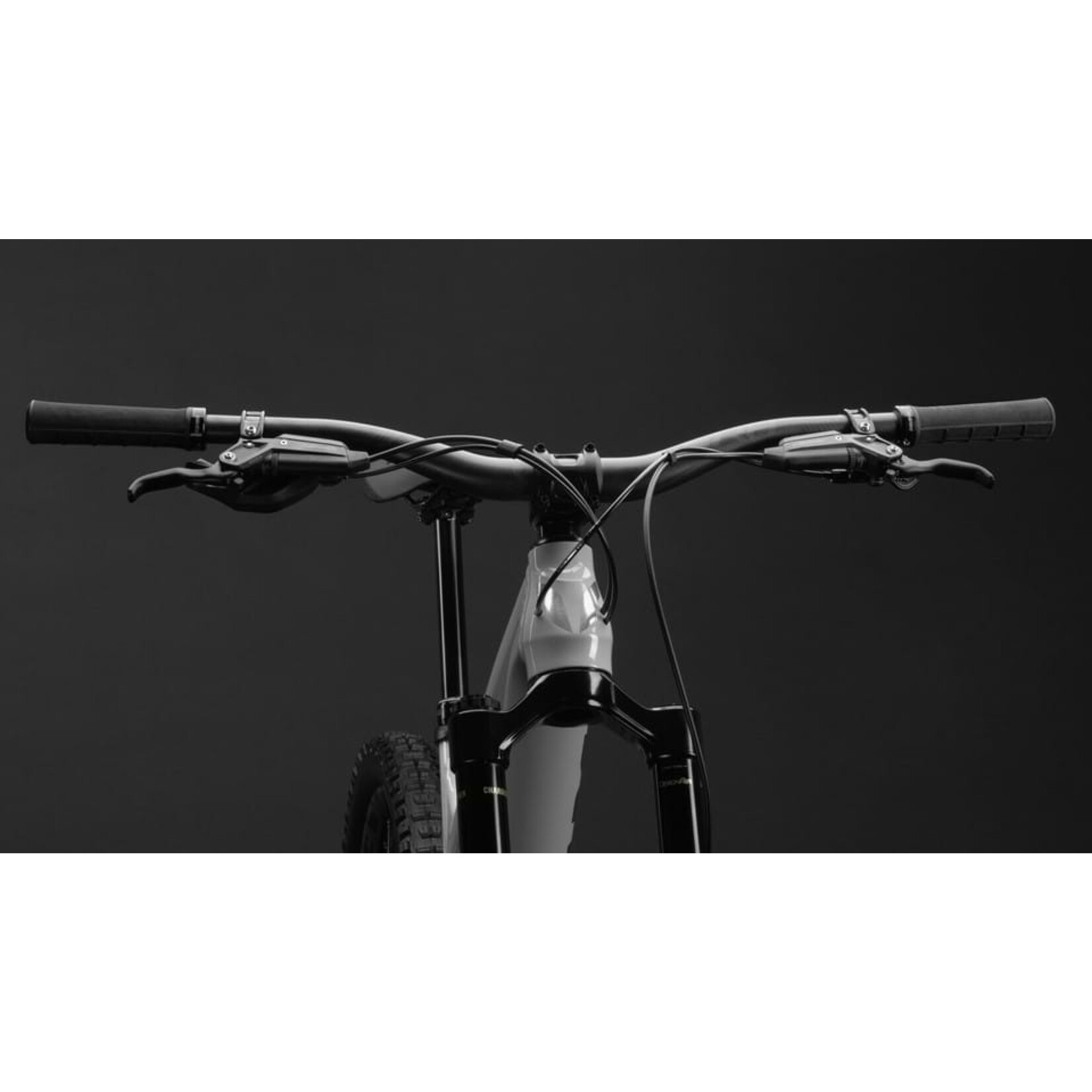 Devinci Troy AL MX Eagle 90 LTD | AL13 | MD