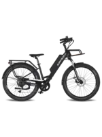 surface 604 Surface604 Rook V 48V 20AH