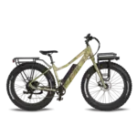 surface 604 Surface604 Boar Hunter 48V 20AH