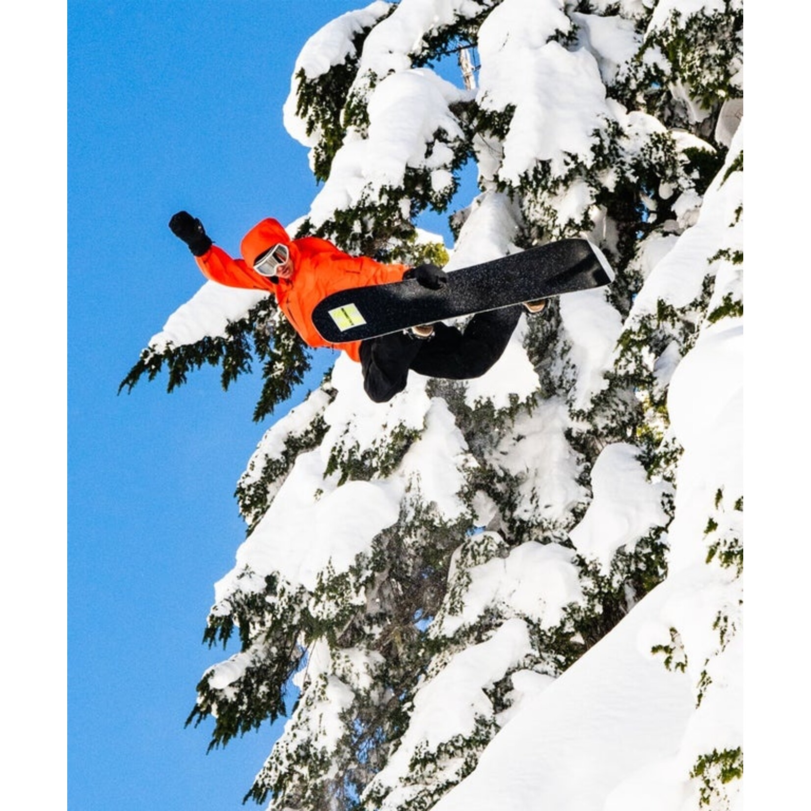 SALOMON HPS - LOUIF PARADIS 160cm